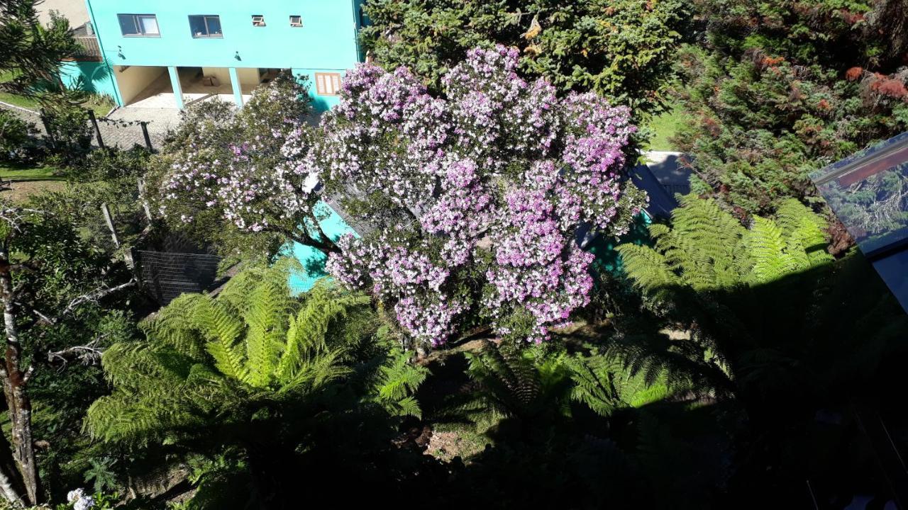 Casa Nobre Gramado Villa Esterno foto