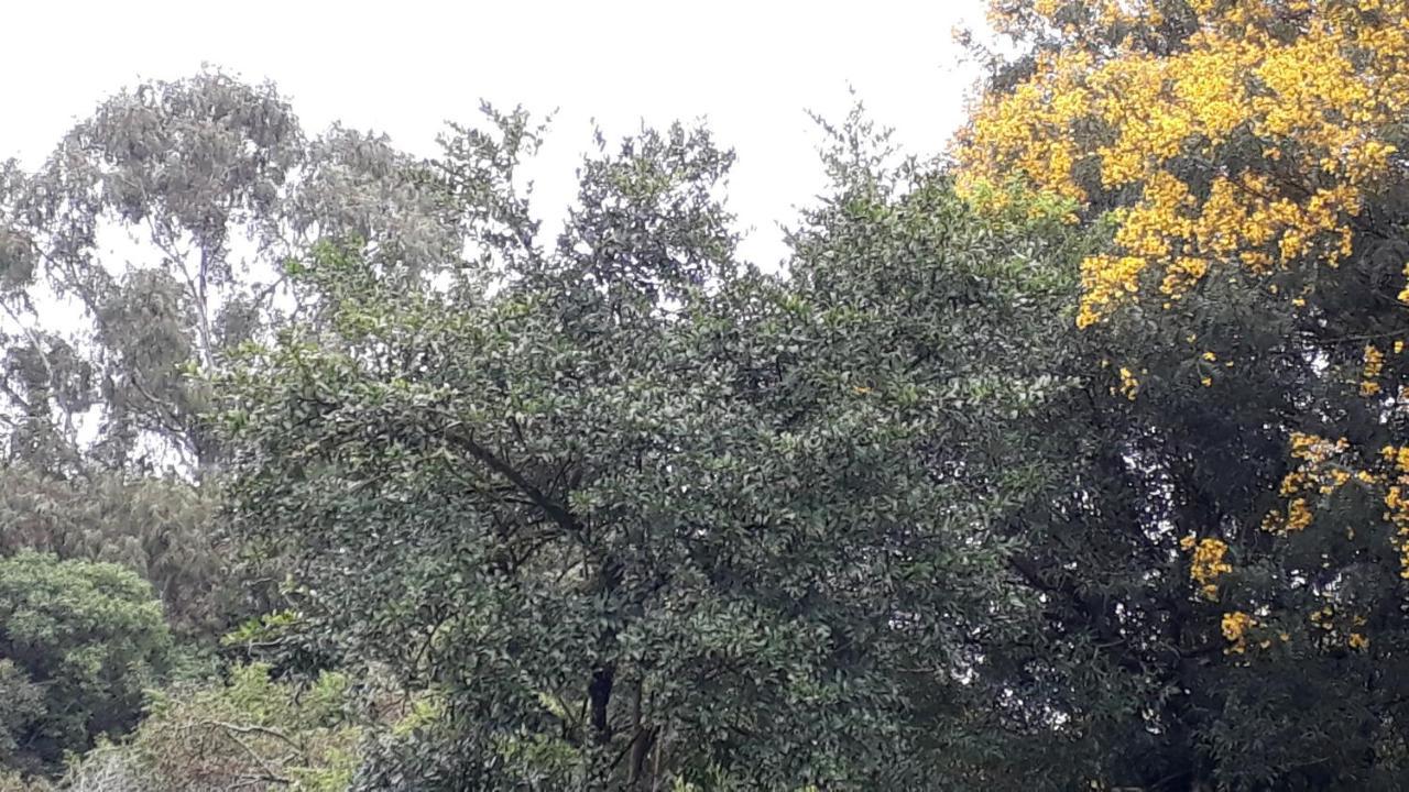 Casa Nobre Gramado Villa Esterno foto